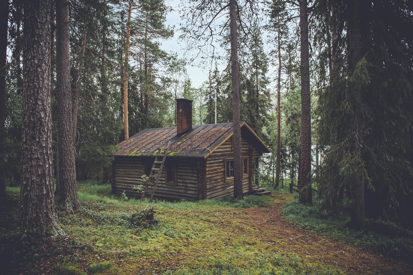 A welcoming woodland vacation home